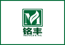 利用風(fēng)力與離心擋塊控制葉片的角度方案